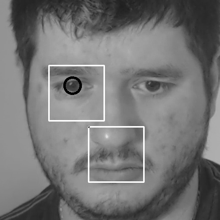 Face Eye Tracked